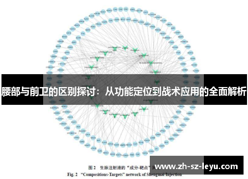 腰部与前卫的区别探讨:从功能定位到战术应用的全面解析 腰部与前卫的区别探讨:从功能定位到战术应用的全面解析