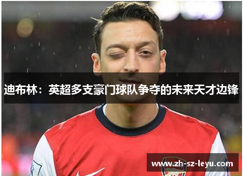 迪布林：英超多支豪门球队争夺的未来天才边锋