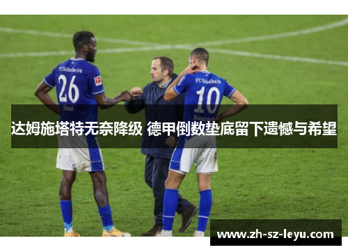 达姆施塔特无奈降级 德甲倒数垫底留下遗憾与希望