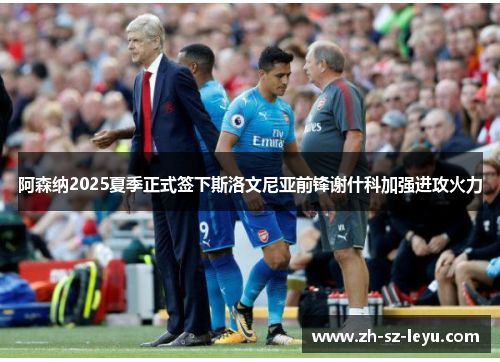 阿森纳2025夏季正式签下斯洛文尼亚前锋谢什科加强进攻火力